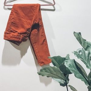 Universal Thread Rust Corduroy 0 / 25R